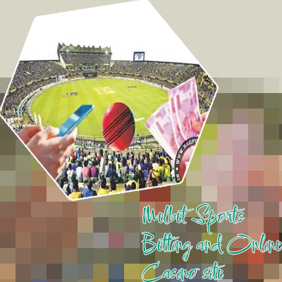 Online cricket betting app in indian rupees